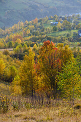 Autumn morning Carpathian Mountains calm picturesque scene, Ukraine. Peaceful traveling, seasonal, nature and countryside beauty concept scene.