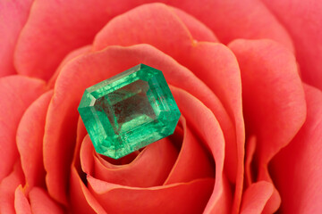 Emerald Stone on Rose