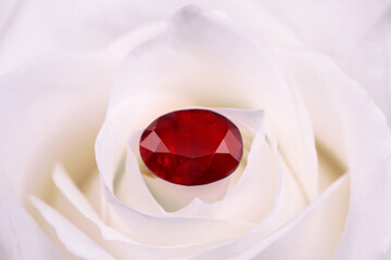 Luxury Red Gemstone on White Rose Flower