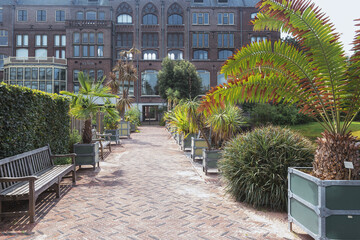 The courtyard of the Hortus Botanicus behind the academy building - 508235599