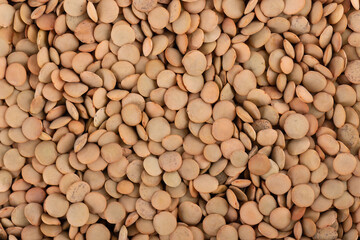Brown lentils isolated on white background. Dry lentil grains pile. Top view.