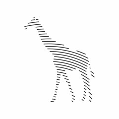 giraffe line logo design vector  © nurazizahku94