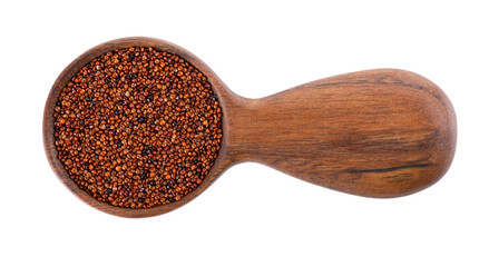 Canihua grains isolated on white background. Pile of qaniwa in wooden spoon. Dry grains of chenopodium pallidicaule. Top view.