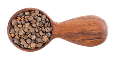 French lentils in wooden spoon, isolated on white background. Dry puy lentil grains pile. Top view.