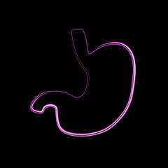 Vector illustration of human stomach with neon effect.