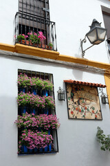 Cordoba flower festival in May 2022, or "the competition of balconies and fences."