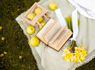 picnic in the park with a book