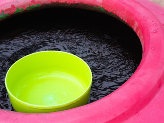 Colorful of green water bowl contrasts with magenta blotches. - 508240558