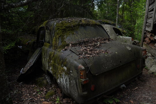 Old, Rusted Overgrown Black Car