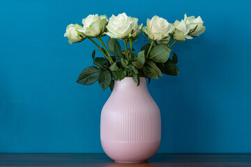 Wieße Rosen in einer lila Vase vor einer blauen Wand