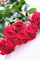 Beautiful bouquet of red roses lies on white background