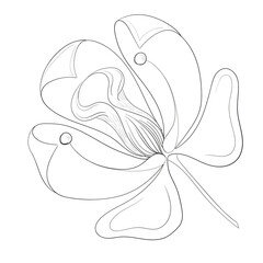 Outline flower hand drawing vector illustration isolated on white