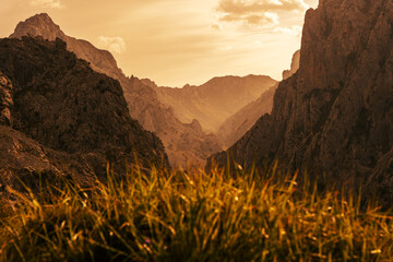 mountains bathed in sunlight at sunset with grasses in the foreground unfocussed