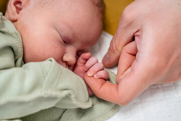 An adult hand holds the small hand of a newborn baby