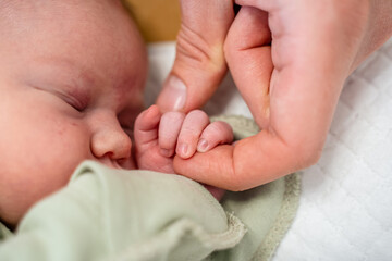 An adult hand holds the small hand of a newborn baby
