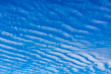 Blue sky with chemical clouds chemtrails on sunny day Germany.
