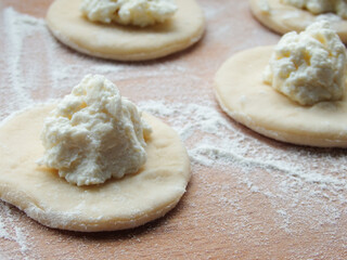cooking. Dumplings with cheese. Ready for cooking dumplings with cottage cheese.