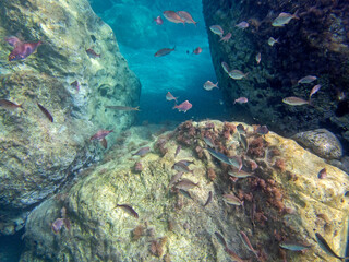 Fondale marino Letojanni