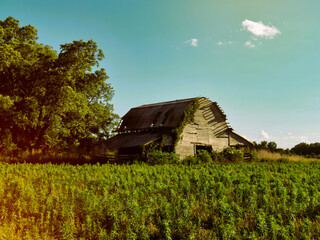 An old rural barn in the countryside in vintage colors