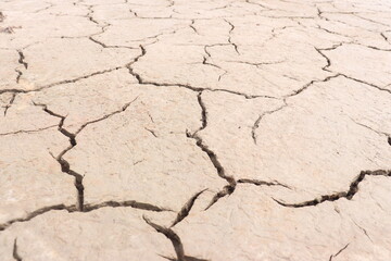 Top view of the dried up cracked soil. Drought, crop failure, global warming, climate change concept. Abstract texture background