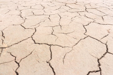 Top view of the dried up cracked soil. Drought, crop failure, global warming, climate change concept. Abstract texture background