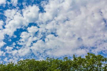 Blue sky with chemical clouds chemtrails on sunny day Germany.