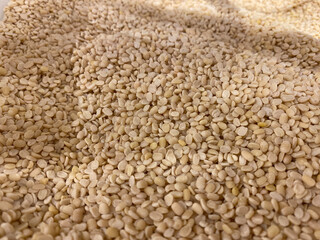 wheat grains background