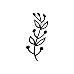 leaf branch graphic design vector