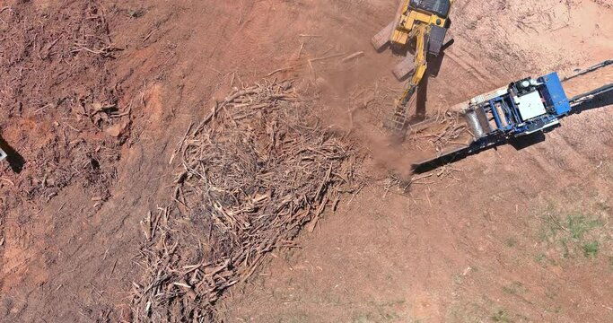 Construction site area in wood chipper machine with mulch an work conveyor the roots shredding