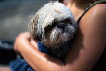 woman with dog