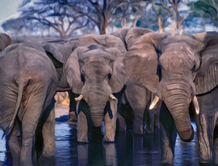 Fototapeta na wymiar Elephant herd at waterhole,digital art