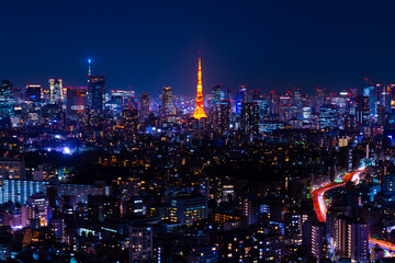 Fototapeta na wymiar 東京 大都会　夜景