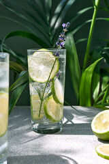 Cool lavender lemonade with lime slices and lavender flower on the table near dark green wall and palm leaves. Healthy organic summer soda drink. Detox water. Diet unalcolic coctail.