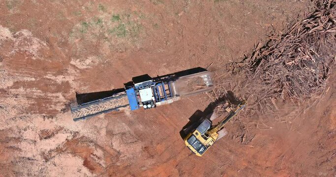 Wood roots crush with a chipper shredder or wood chipper machine in construction site area