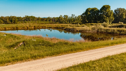 Beautiful summer view near the famous Isar mouth, Plattling, Bavaria, Germany