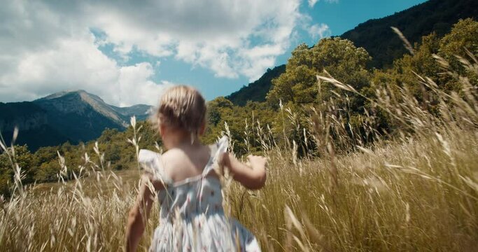 Cute carefree toddler girl run through high grass o mountain meadow during summer vacation travel. Happy child run with bordercollie dog on field. Active lifestyle outdoors on epic nature scenery