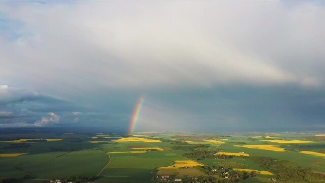 The Rainbow Over the Rape Field With Blooming Canola, During Spring, Aerial View Under Heavy Clouds Before Thunderstorm. Agriculture Landscape Many Fields of Yellow Rapeseed. Camera Moves Sideward