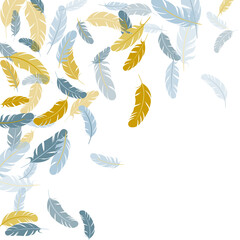 Fototapeta premium Falling feather elements soft vector design.