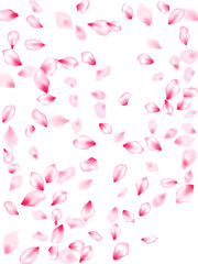 Spring tree flowers parts, airy flying petals