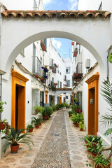 Alley in the old town of Cordoba, Spain, with flower pots and arch