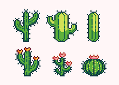 Cacti pixel art set. Cactus with flowers collection. Desert flora. 8 bit sprite. Game development, mobile app.  Isolated vector illustration.