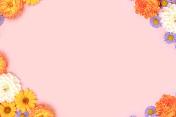 Frame made of colorful arnica and dahlia flowers on a pink pastel background with copyspace.