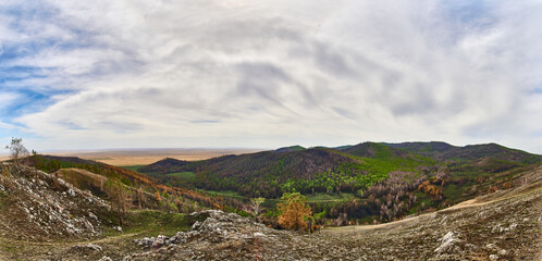 Panorama, a forest in a mountainous area partially affected by a fire.