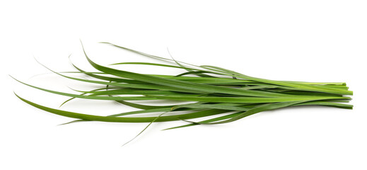 Bunch of green grass.