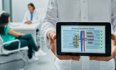 Kidney function tests, concept. Urologist holding tablet with results of kidney function test, on background doctor consultation at medical clinic