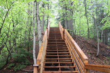Wood stairs in a forest. Adventure and hiking. Walking in forest in summer. Nature and outdoor. Trail and walkway. Direction and upstair. Goal in life.