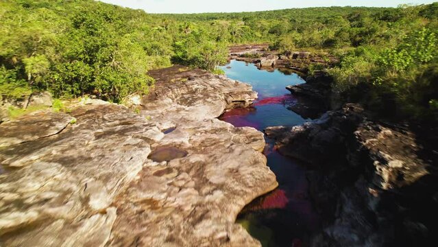 A rocky riverbed of seven colors of Ca&ntilde;o Cristales with red algae flowing through the green rainforest - Colombia 