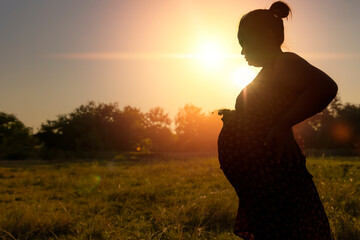 pregnant woman standing in the meadow Warm tones.