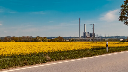 Fototapeta na wymiar Beautiful summer view with yellow canola fields and a power plant near Pleinting, Danube, Bavaria, Germany