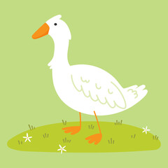 White goose close-up on a green background. Funny illustration in flat style. Isolated vector image